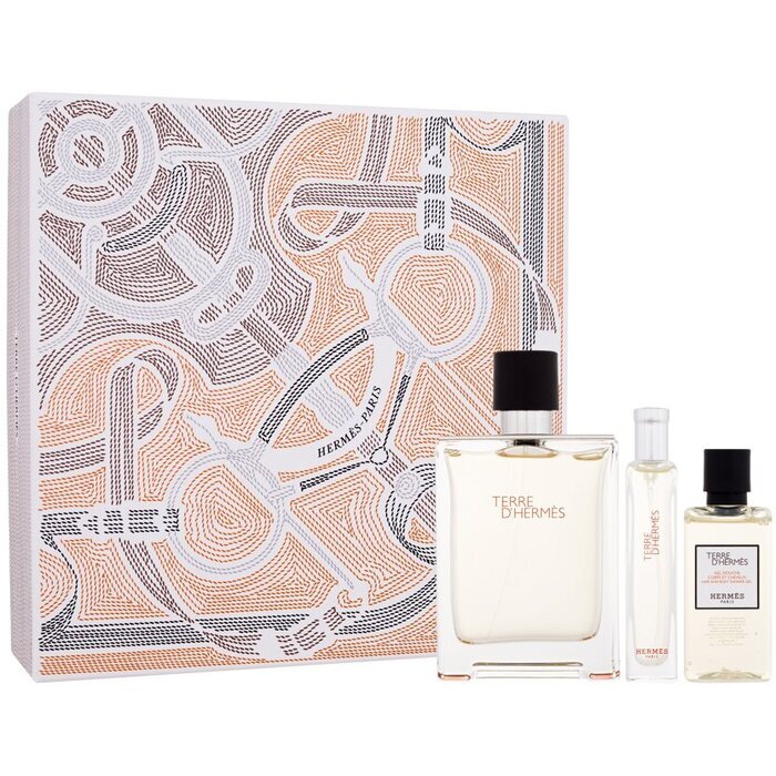 Hermes Terre D'hermes Gift Set Eau De Toilette 100ml Miniature Eau De Toilette 15ml And Shower Gel 40ml 100ml