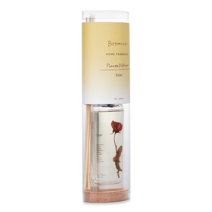 Botanica Home Fragrance Plante Diffuser - Rose 145ml/4.9oz