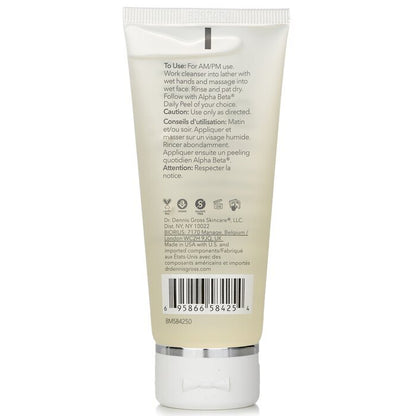 Dr Dennis Gross Alpha Beta AHA/BHA Daily Cleansing Gel 60ml/2oz