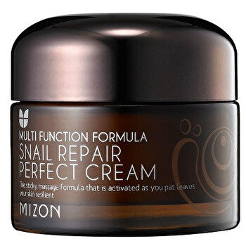 Mizon Face Cream With Snail Secretion Filtrate 60% For Problematic Skin (snail Repair Perfect Cream) 50ml 50ml