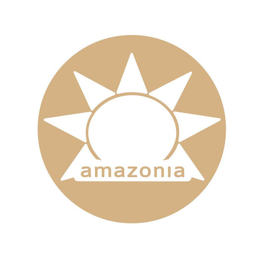 Amazonia Raw Paleo Protein Organic Gentle Digest Chocolate 500g