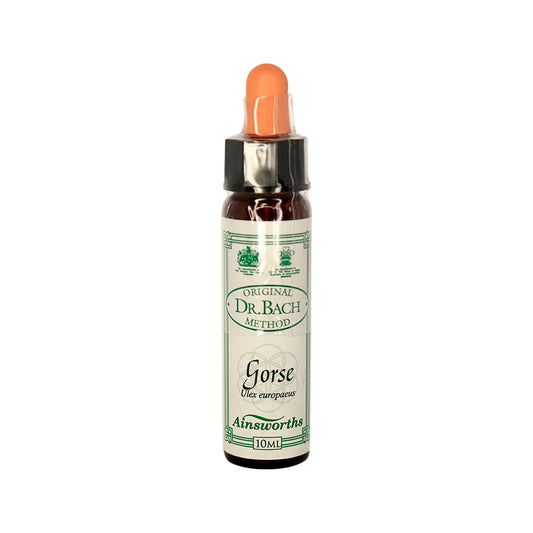Ainsworths Original Dr. Bach Method Flower Essence Gorse 10ml